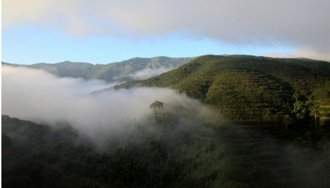 兰妃印象•2018寻茶之旅
